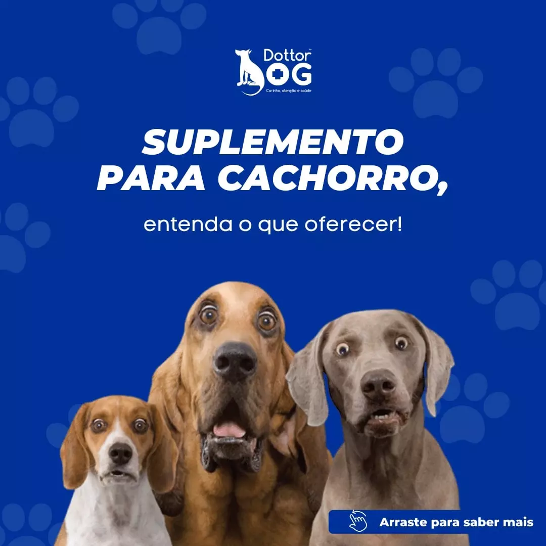 SUPLEMENTO PARA CACHORRO: ENTENDA QUANDO OFERECER!